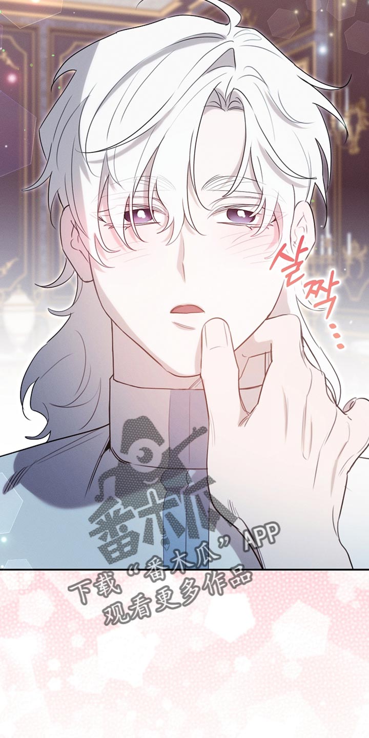 白鸟奇遇记漫画全集免费阅读漫画,第115章：【第二季】来的比想象中快1图