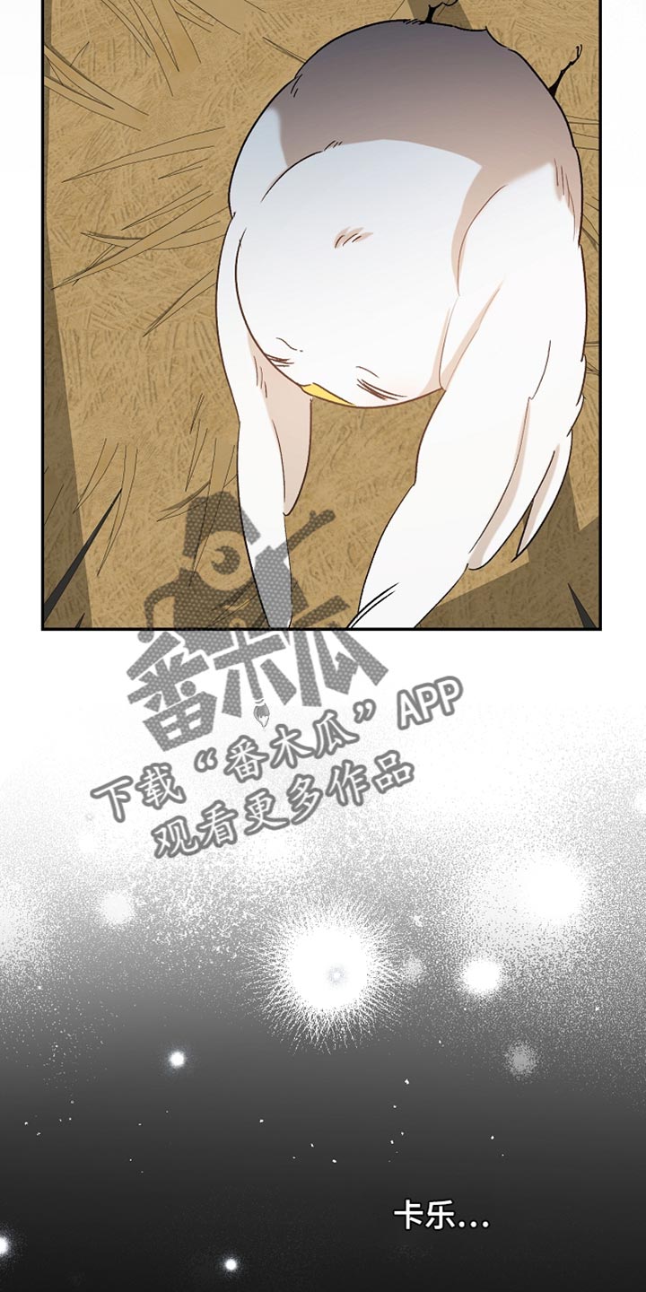 白鸟奇遇记漫画,第129章：【第二季】是你这家伙做的事情5图