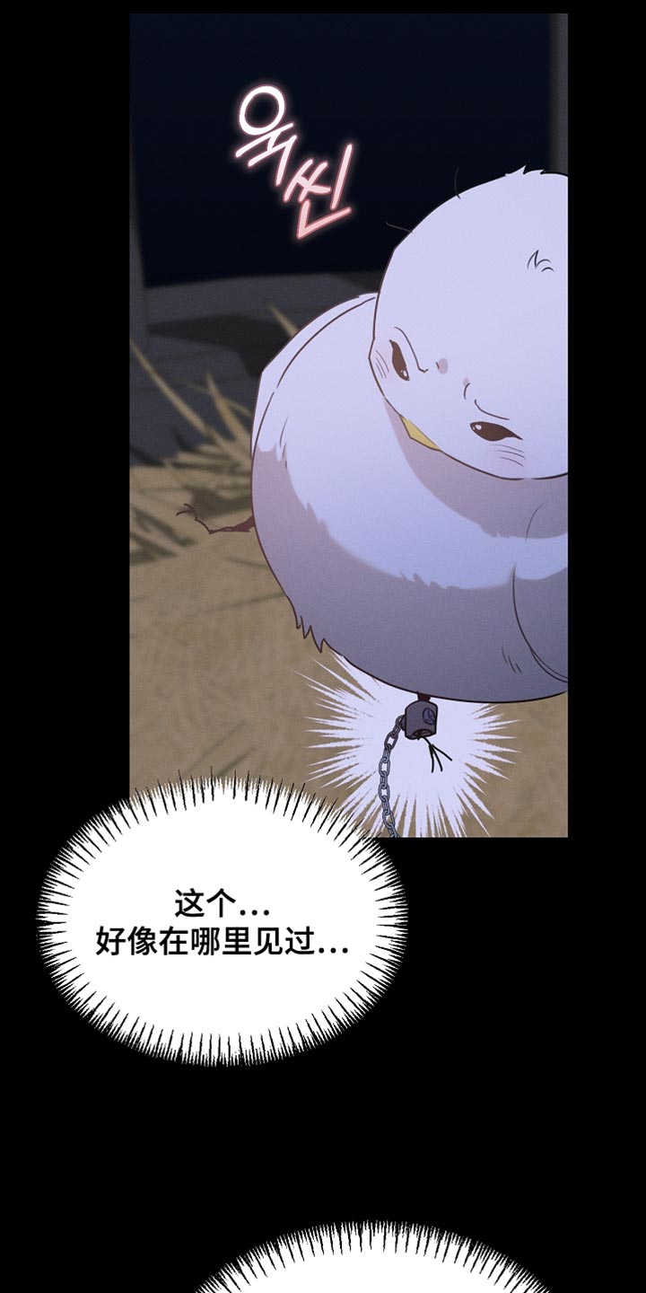 白鸟奇遇记完整版免费观看漫画,第125章：【第二季】为什么绑架我4图