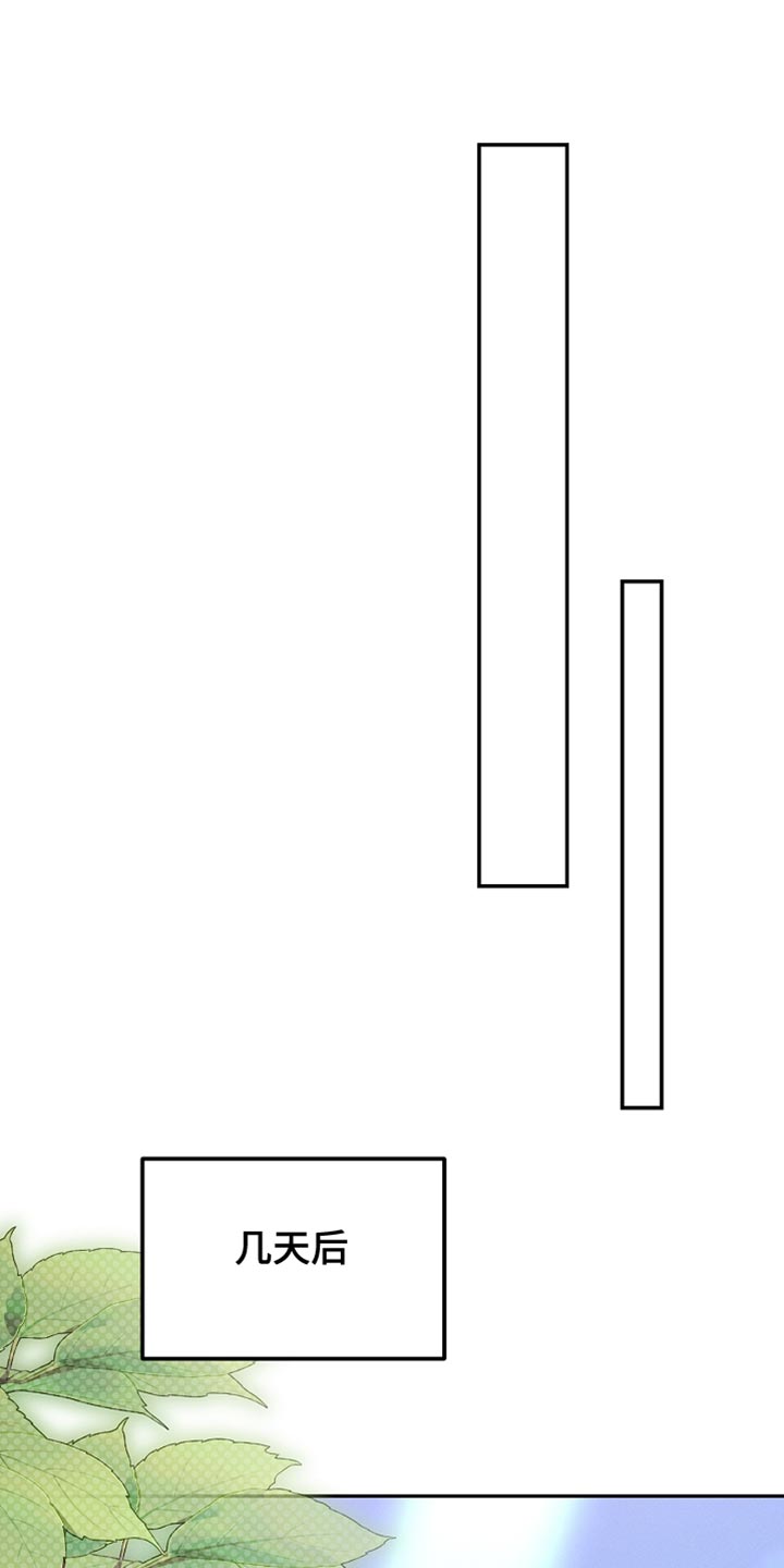 白鸟奇遇记1至200集漫画,第116章：【第二季】今晚会很漫长1图
