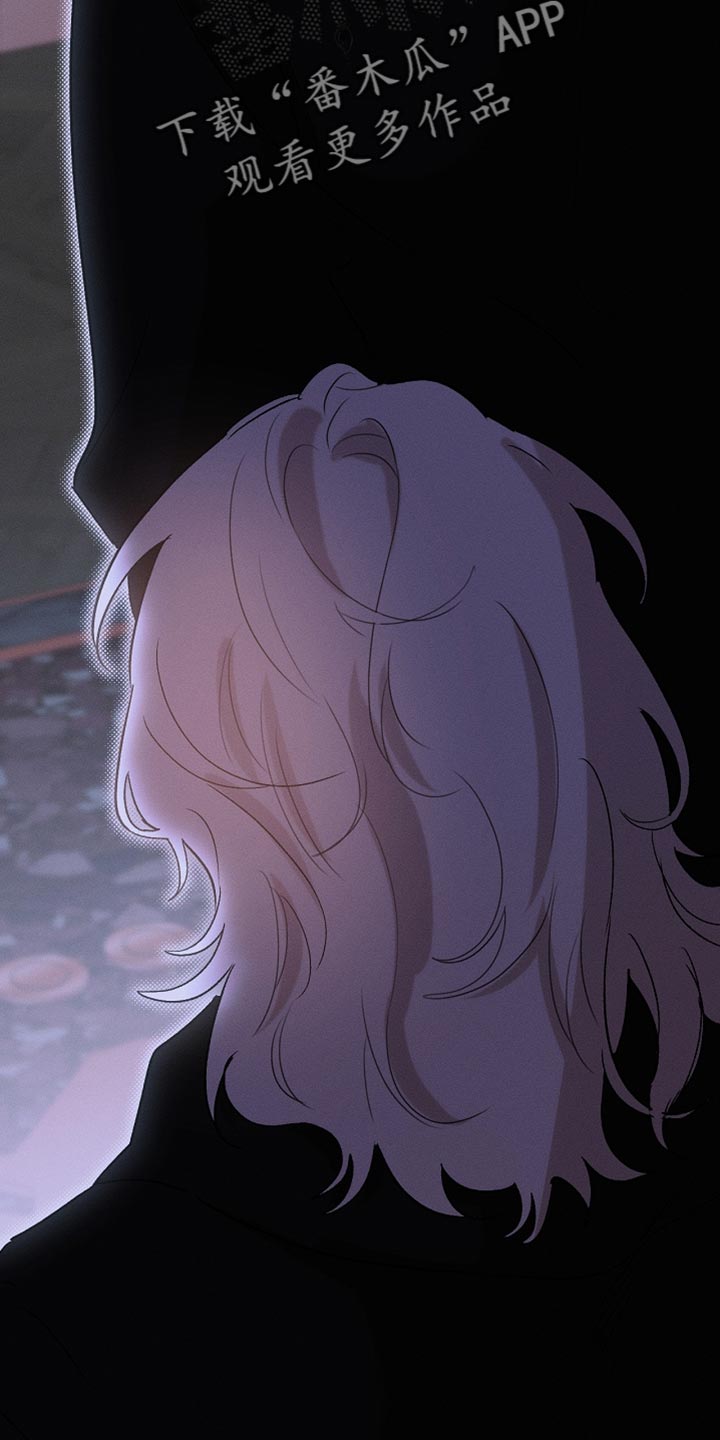 白鸟奇遇记漫画,第129章：【第二季】是你这家伙做的事情1图