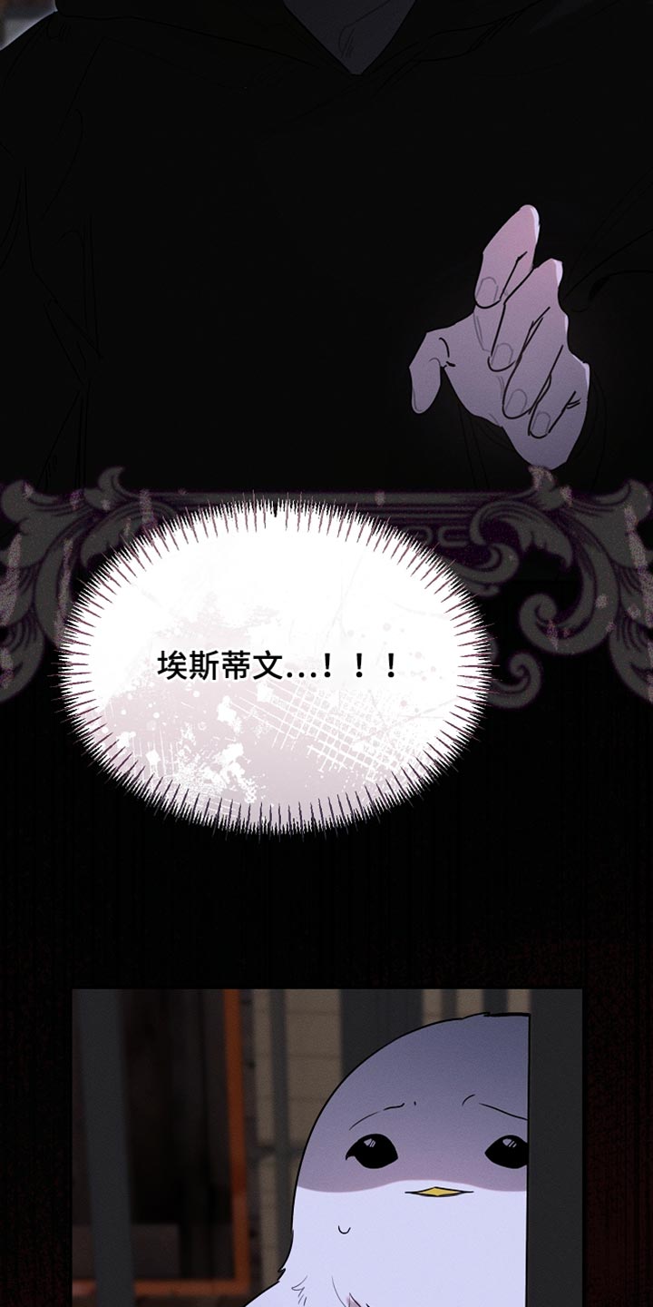 白鸟奇遇记下拉漫画漫画,第125章：【第二季】为什么绑架我1图