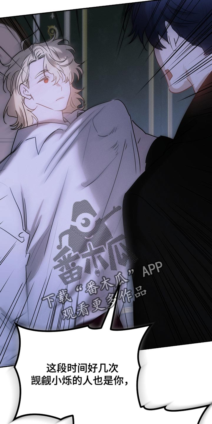 白鸟奇遇记6漫画,第127章：【第二季】我真的不会放过你2图