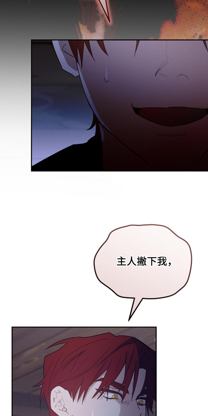 《白鸟奇遇记》简介漫画,第126章：【第二季】可疑之处4图