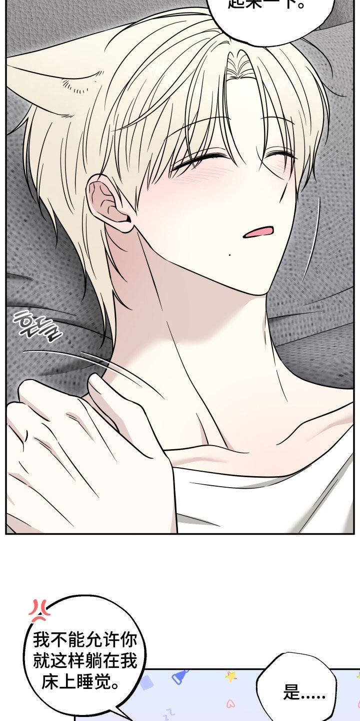 偶像有猫腻漫画,第32章：你这个疯子3图