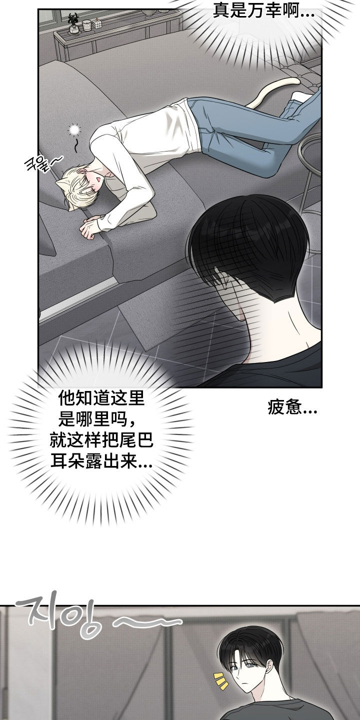 偶像有猫腻漫画,第32章：你这个疯子2图