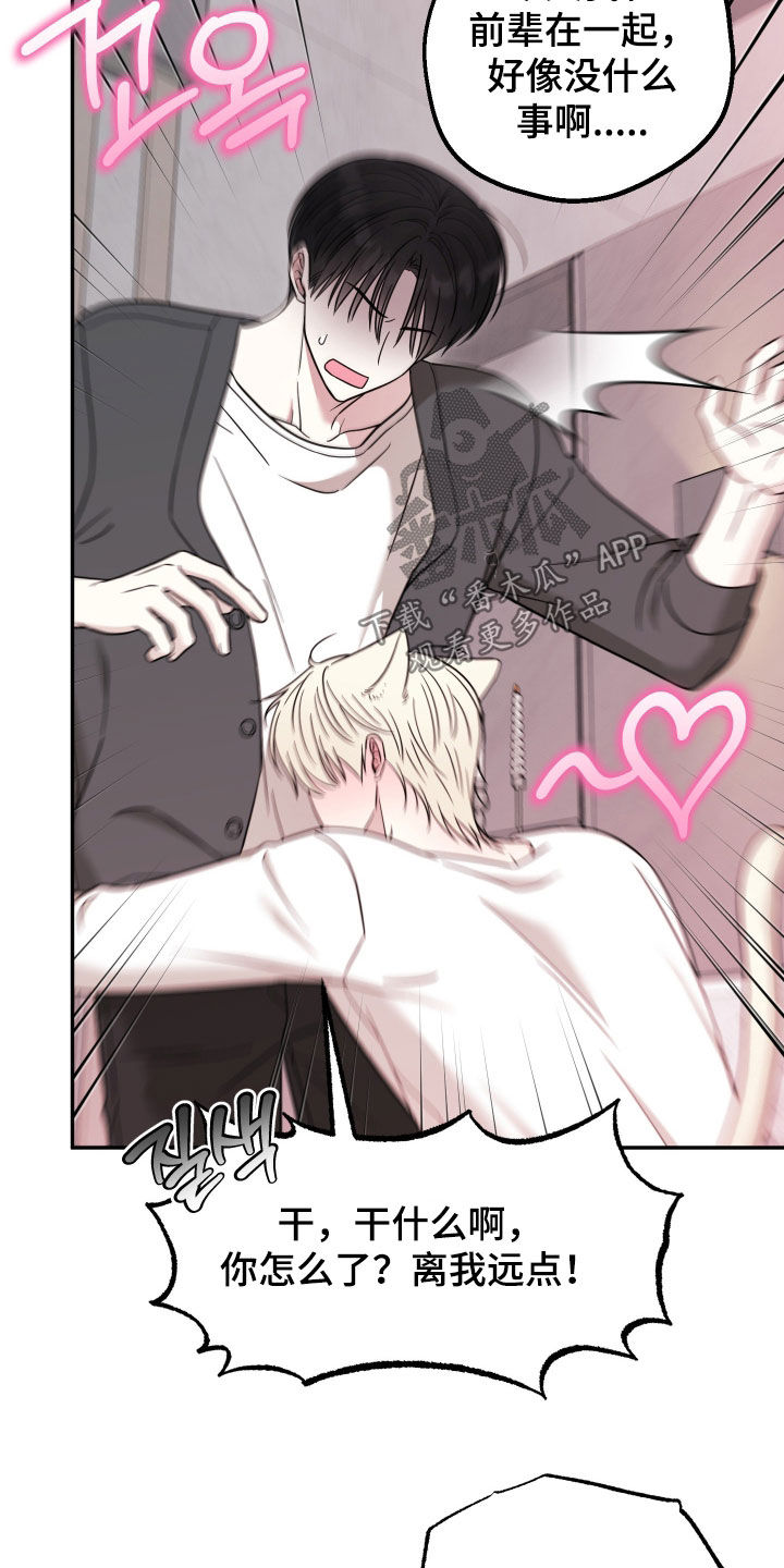 偶像有猫腻漫画,第32章：你这个疯子2图