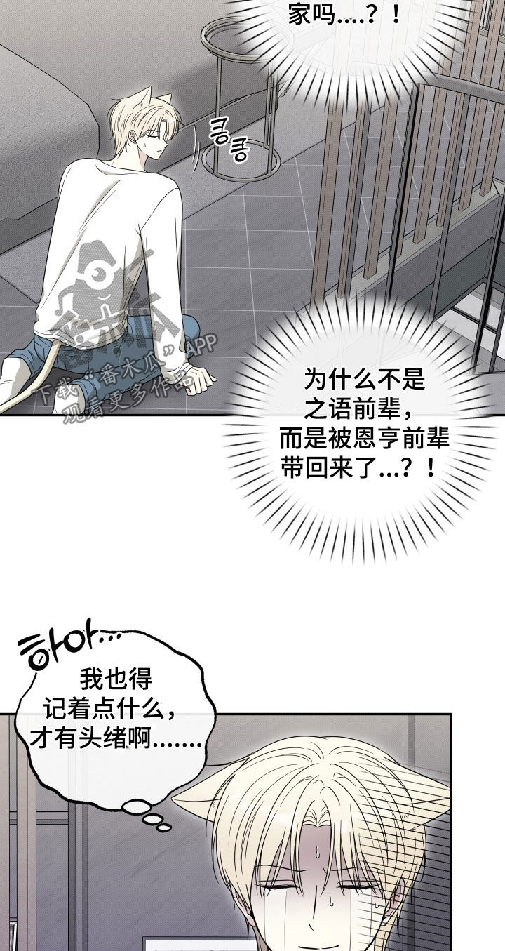 偶像有猫腻漫画,第33章：真是火大3图