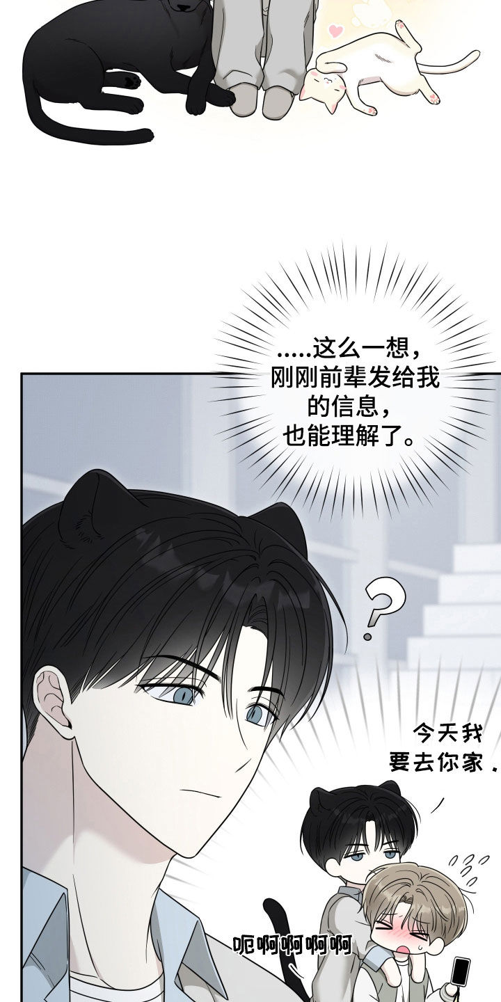 偶像有猫腻漫画设定漫画,第28章：乳臭未干5图