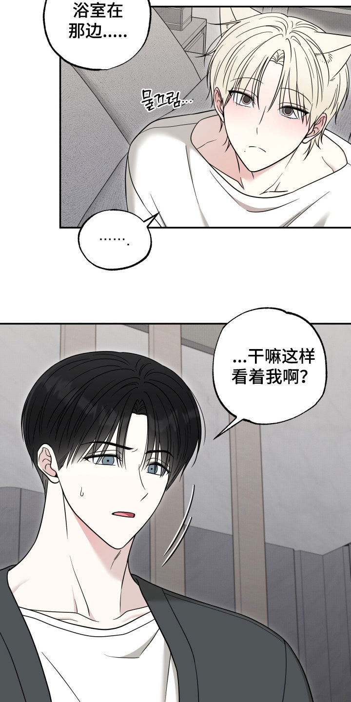 偶像有猫腻漫画,第32章：你这个疯子5图