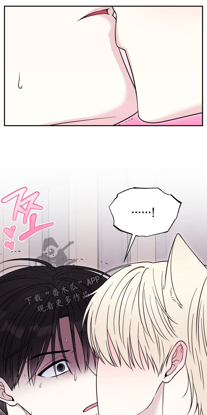 偶像有猫腻漫画,第32章：你这个疯子5图