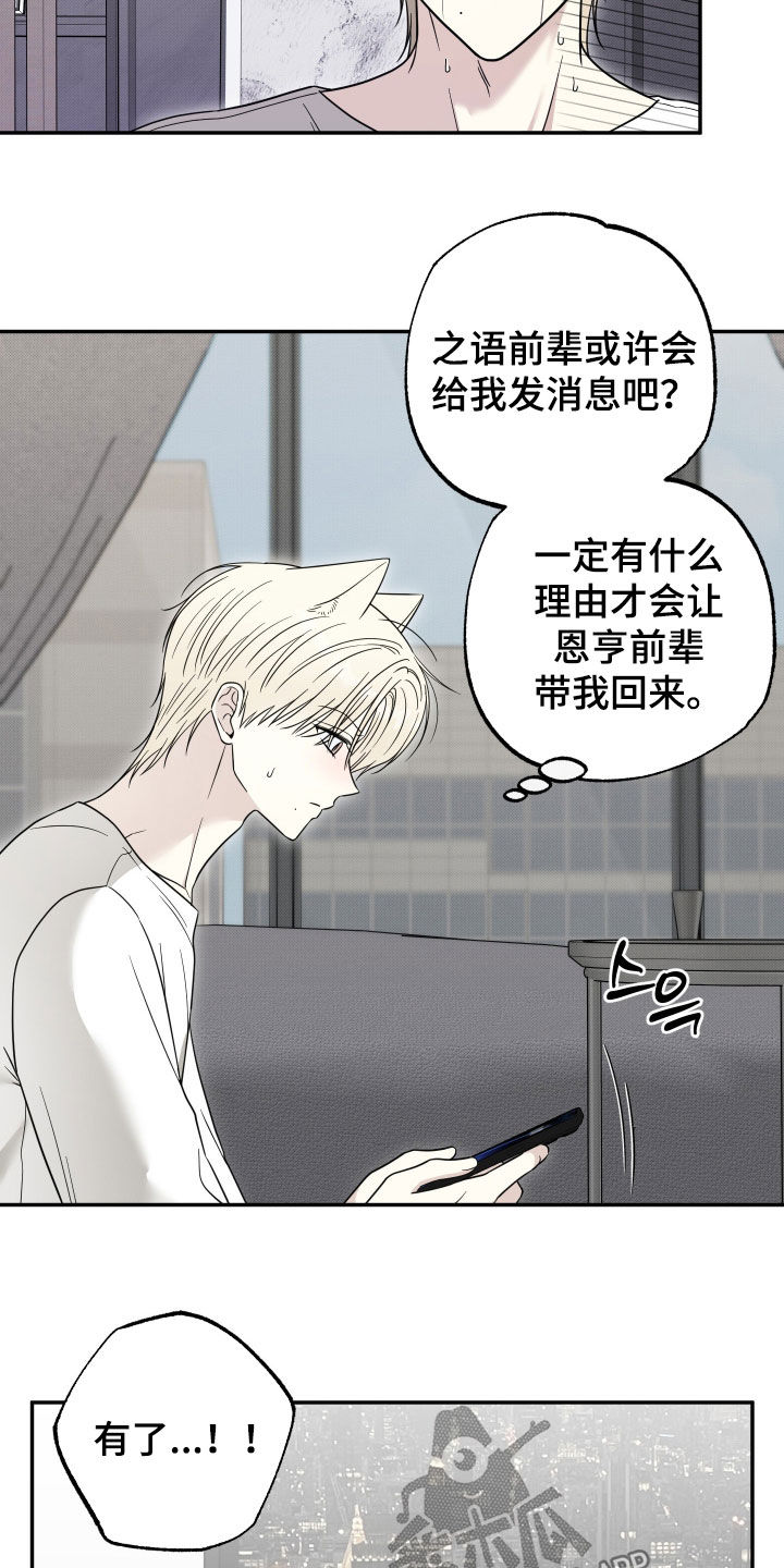 偶像有猫腻漫画,第33章：真是火大4图