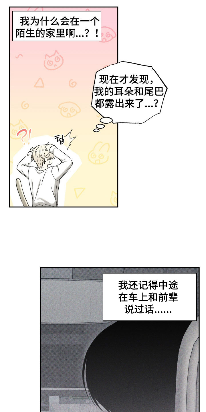 偶像有猫腻漫画,第33章：真是火大4图