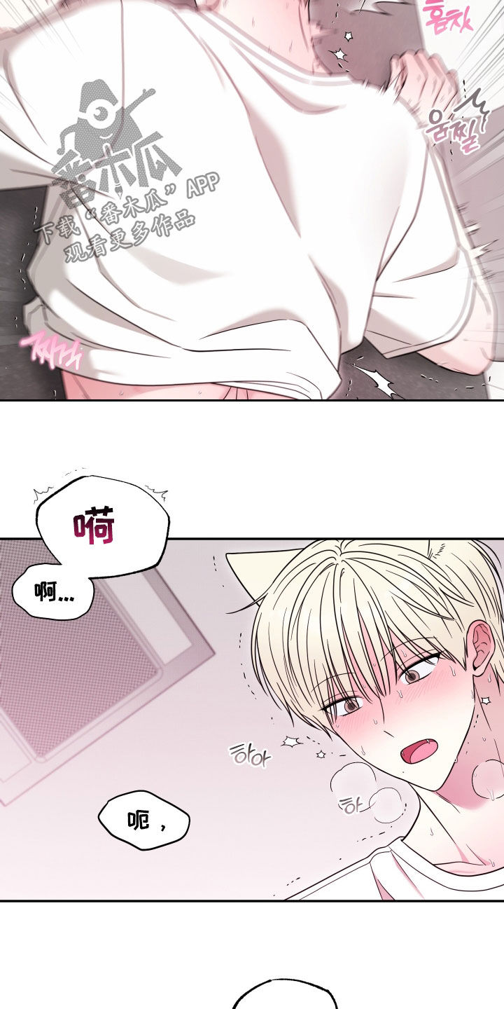 偶像有猫腻漫画,第29章：味道1图