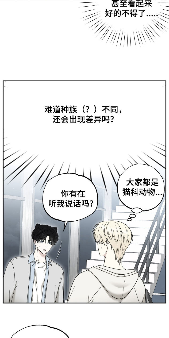 偶像有猫腻讲了什么漫画,第28章：乳臭未干2图