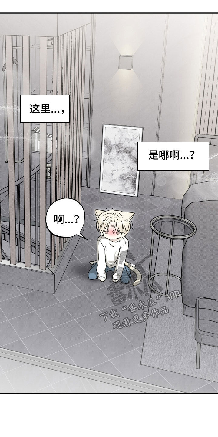 偶像有猫腻漫画,第33章：真是火大3图
