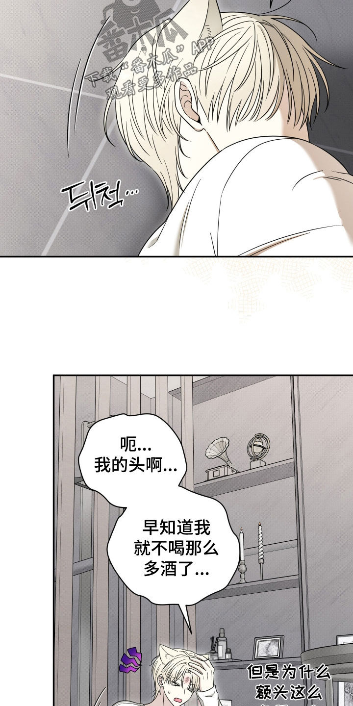 偶像有猫腻漫画,第33章：真是火大1图