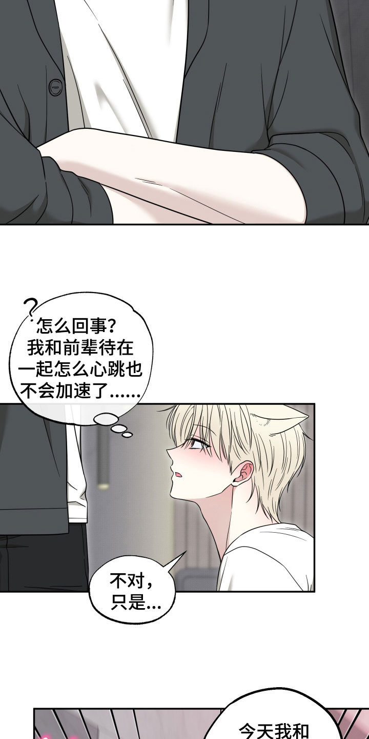 偶像有猫腻漫画,第32章：你这个疯子1图