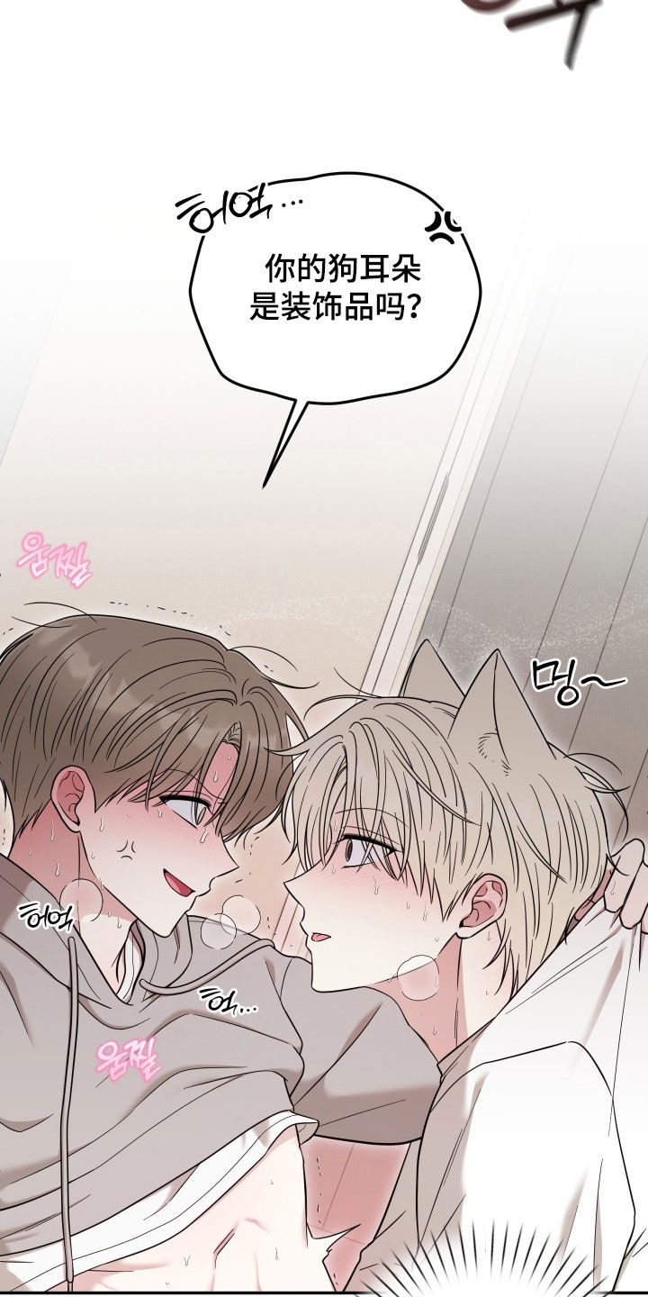 偶像有猫腻好看吗漫画,第36章：别咬我5图