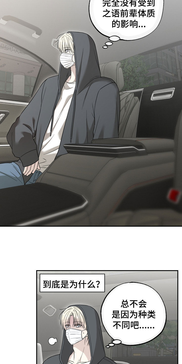 偶像有猫腻漫画原作者漫画,第34章：好危险4图