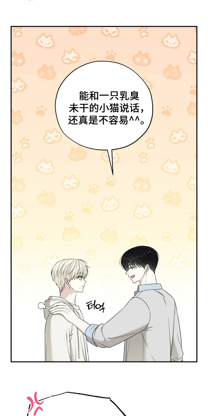 偶像有猫腻讲了什么漫画,第28章：乳臭未干4图