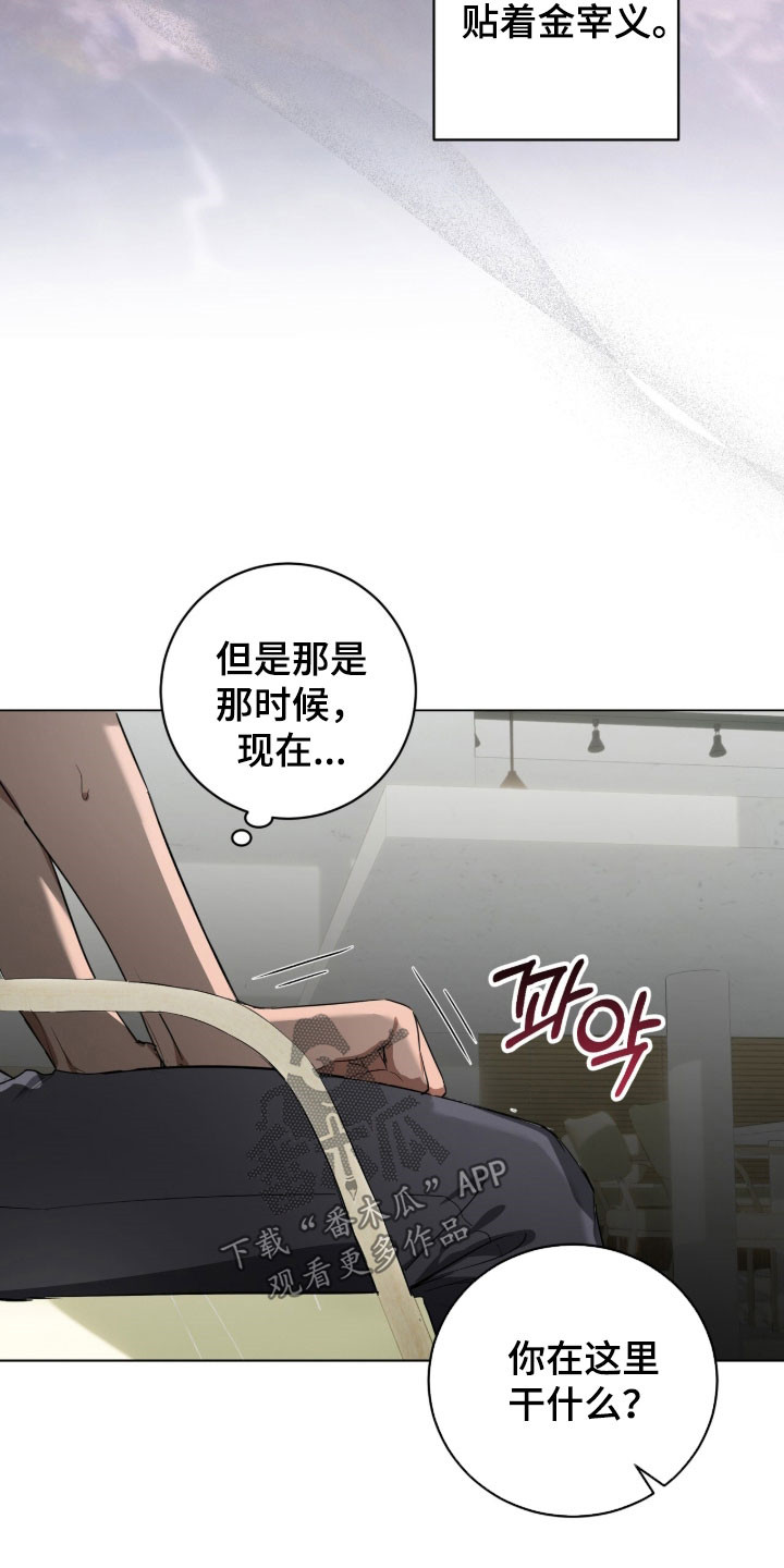 强制社保是每个月必须交吗漫画,第38章：你在干什么4图