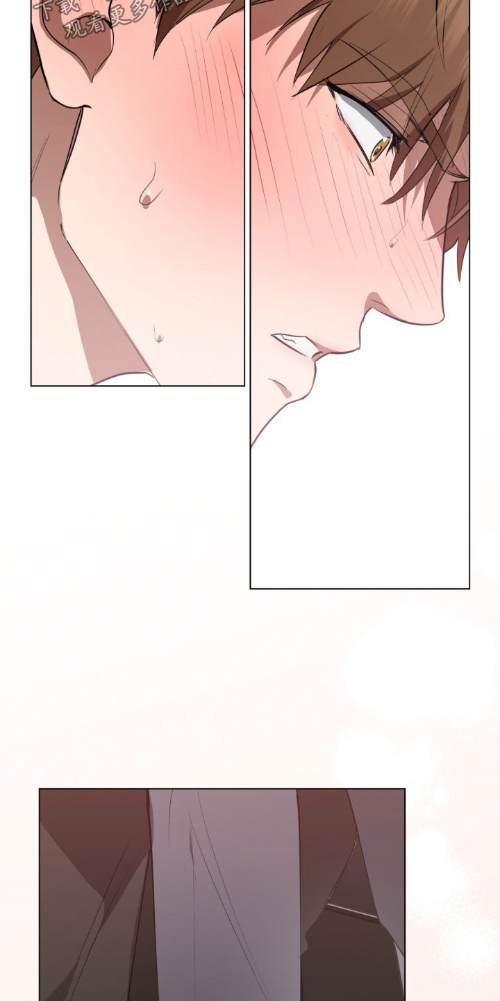 强制社保带来企业倒闭漫画,第39章：在意死了2图