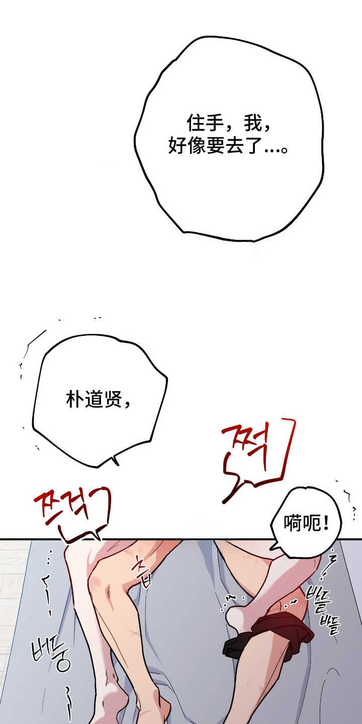 鲁莽的爱人剧情解析漫画,第12章：冲昏头脑3图
