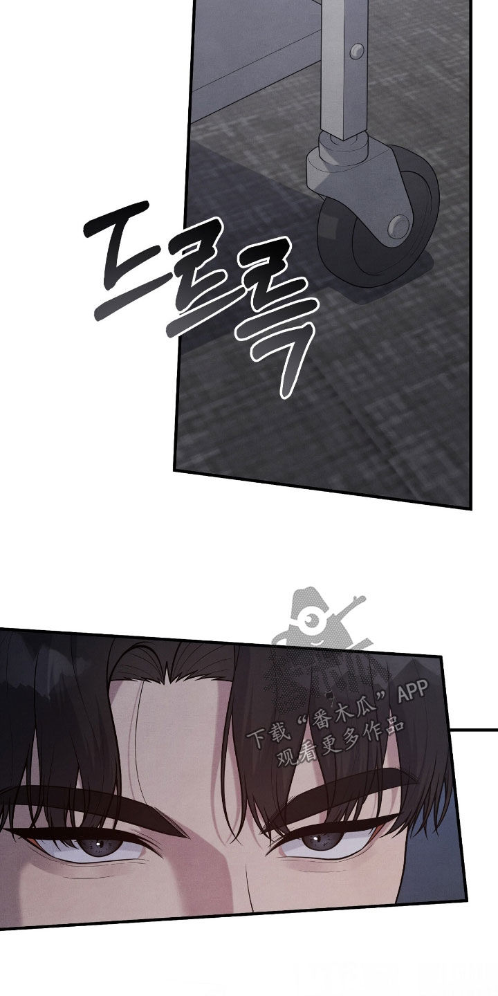 VVIP禁区漫画,第31章：他是我叫来的5图