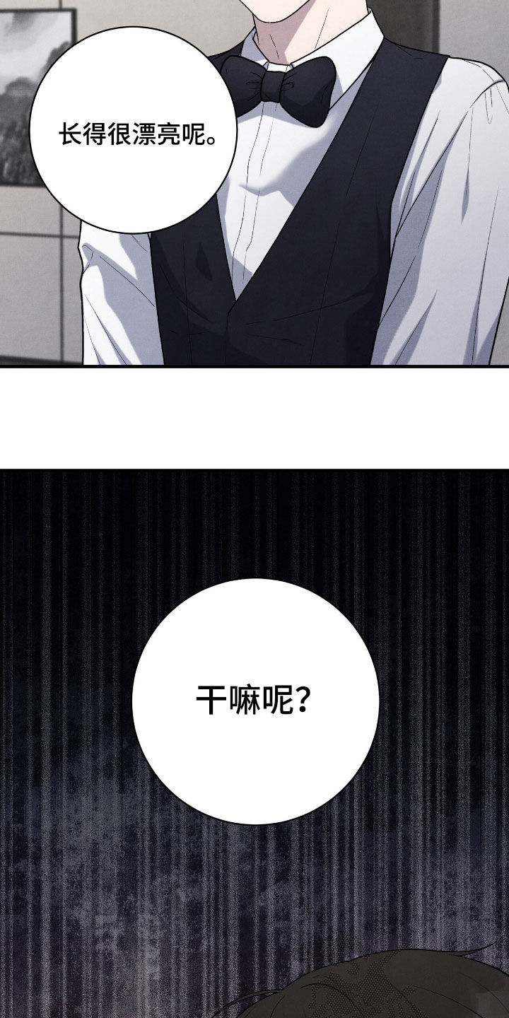 vvip在哪里漫画,第31章：他是我叫来的2图