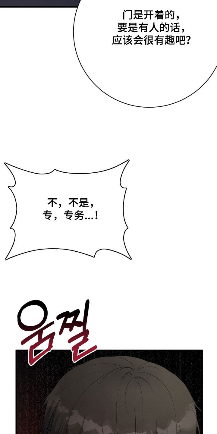 VVIP禁区漫画,第35章：玩具4图