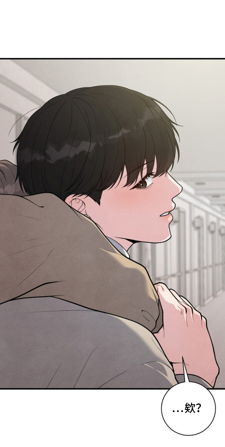 vvip网络服务的收费标准是什么漫画,第24章：认真工作5图