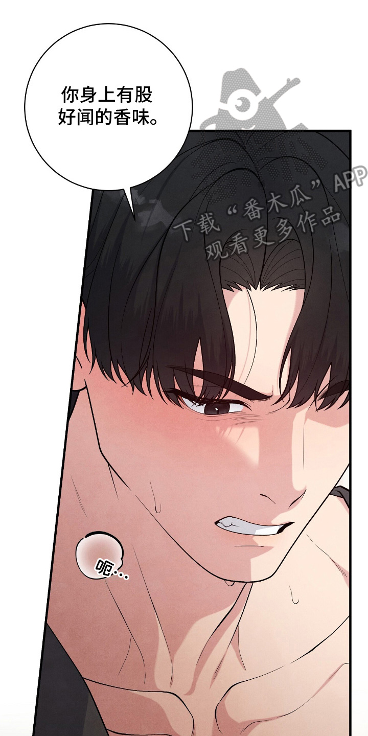 VVIP禁区漫画,第21章：差点出卖身体1图