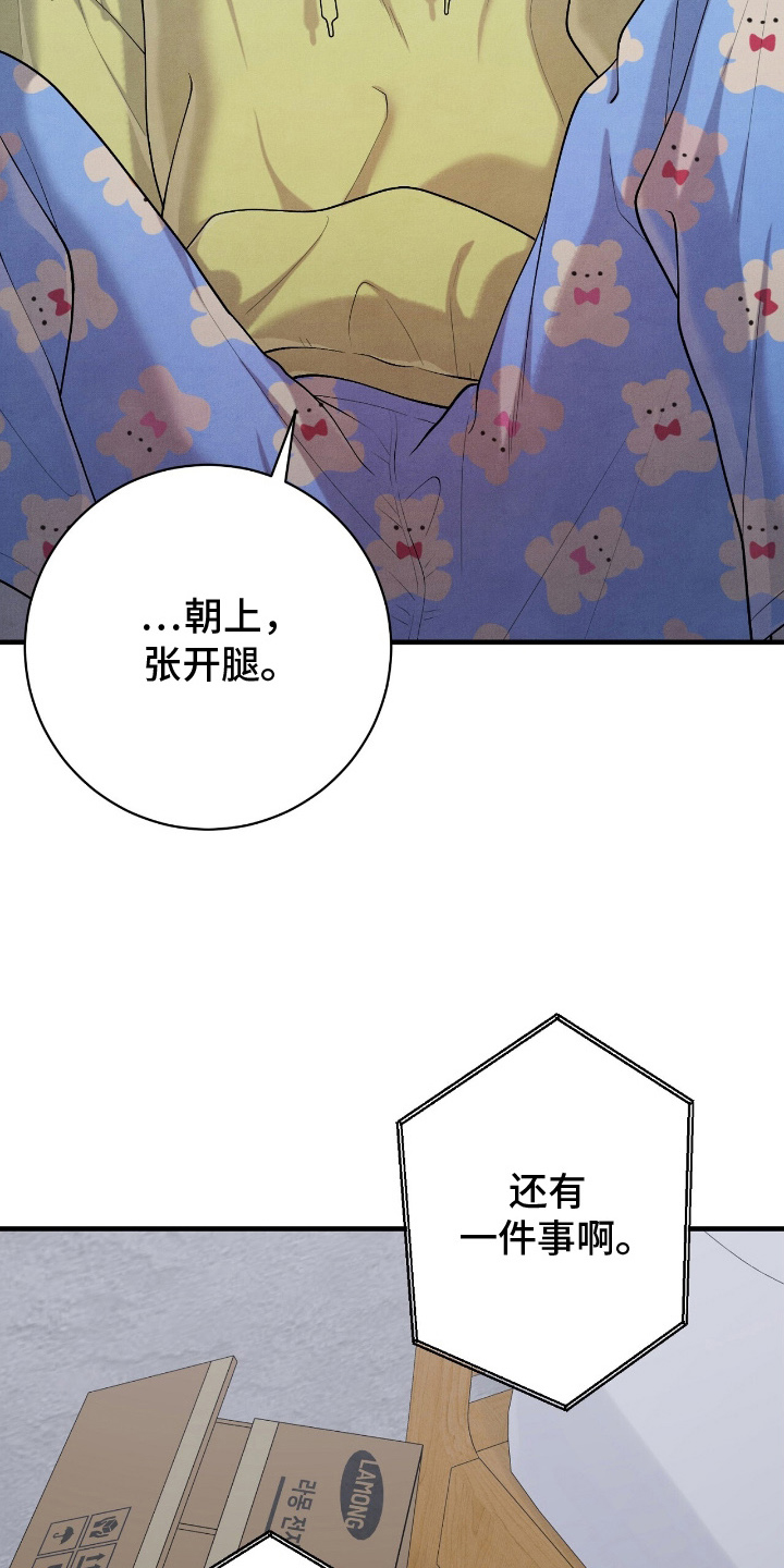 vvip体验漫画,第20章：按照兴致来1图