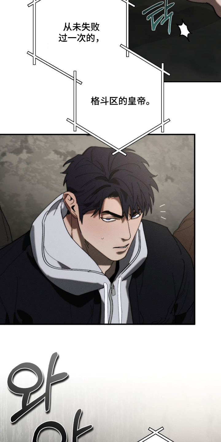 不完整的燃烧漫画在线阅读漫画,第42章：地下拳赛2图