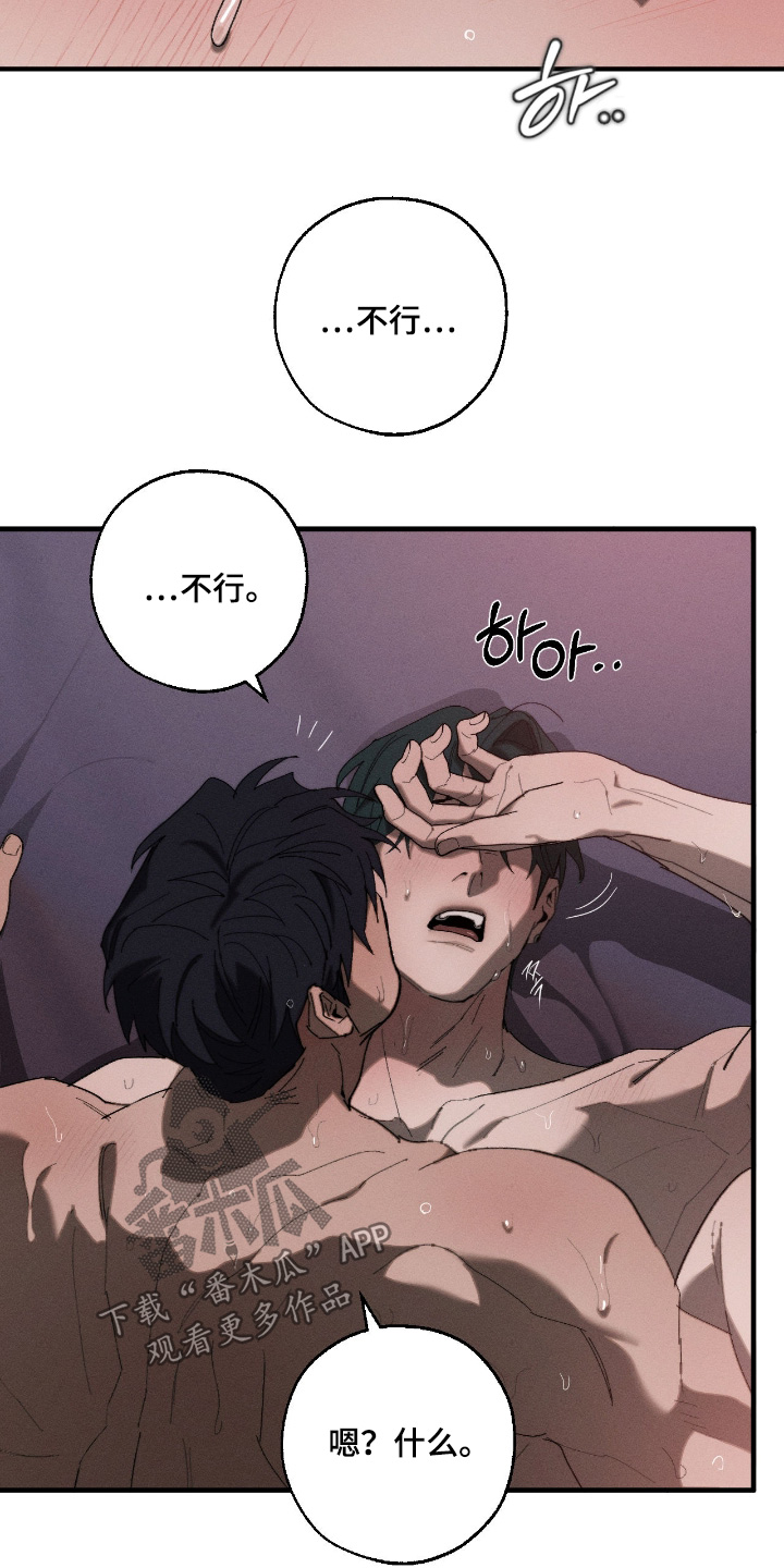 不完整的猪肺怎么清洗漫画,第36章：对不起4图