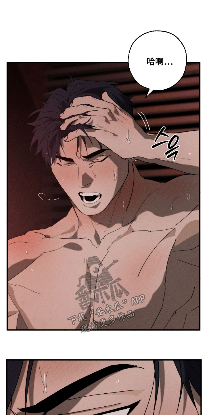 不完整的猪肺怎么清洗漫画,第36章：对不起4图