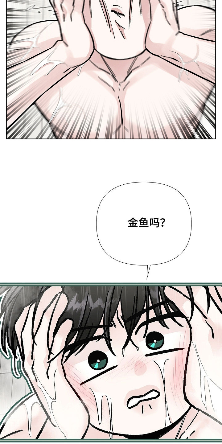 无感禁区漫画,第40章：划清界限5图