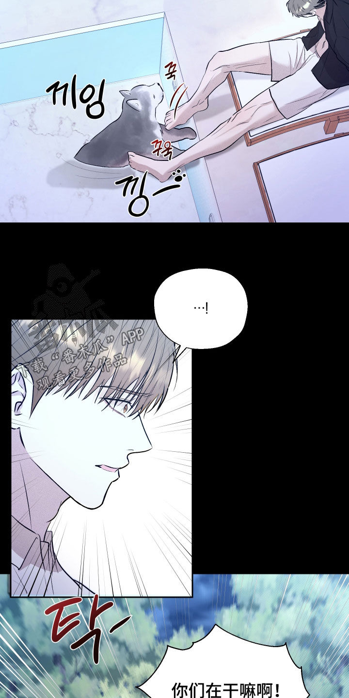 禁区内的谎言漫画,第37章：装什么纯啊5图