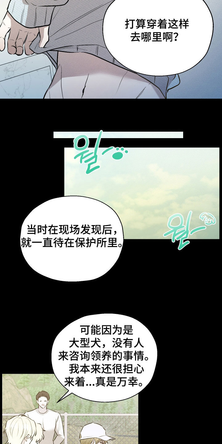 禁区内的谎言漫画,第39章：太心寒了4图