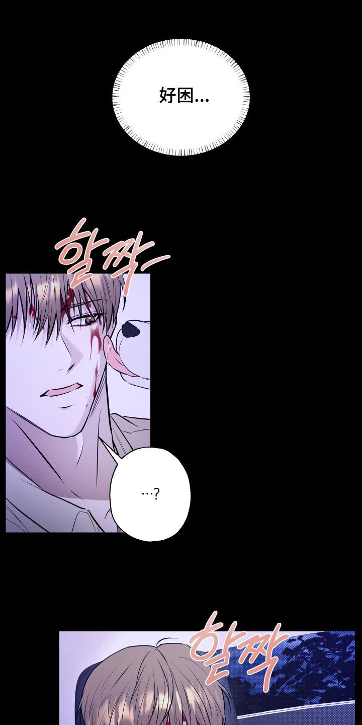 禁区内的谎言漫画,第38章：结束了4图