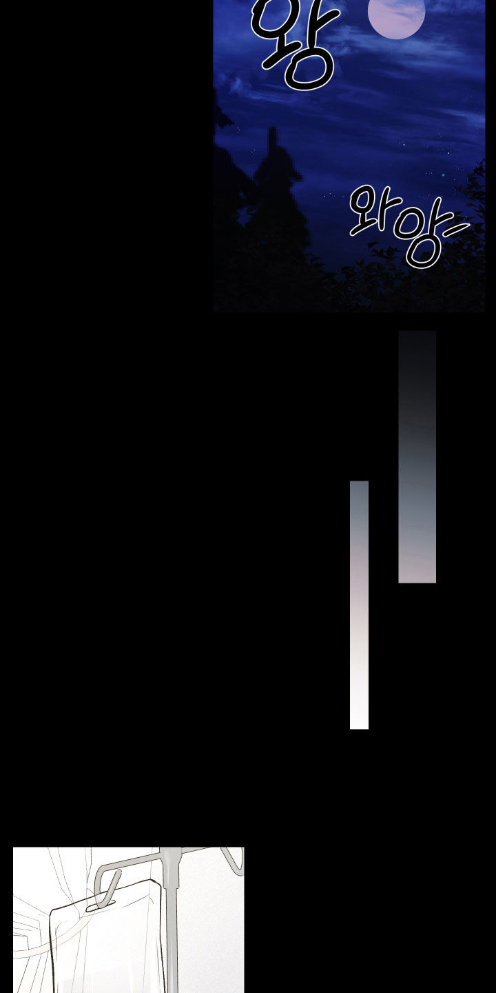 禁区内的谎言漫画,第38章：结束了3图