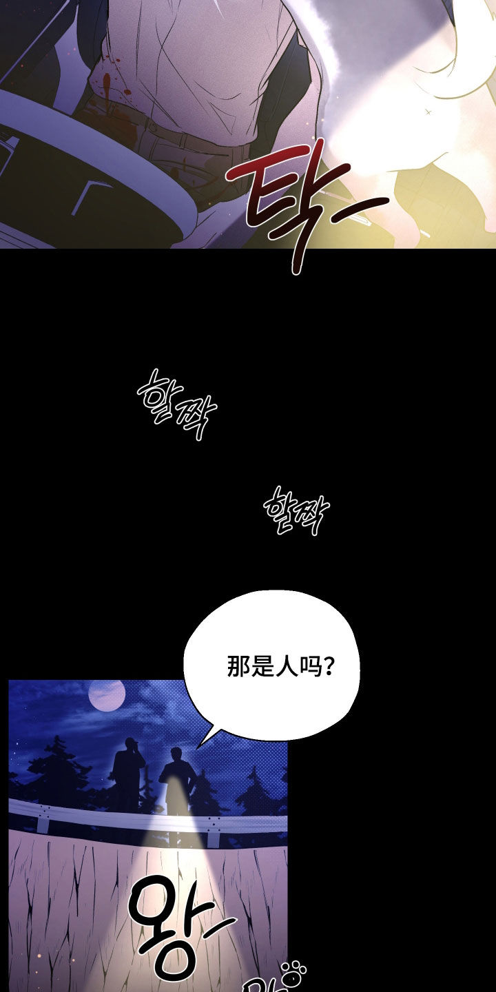 禁区内的谎言漫画,第38章：结束了1图