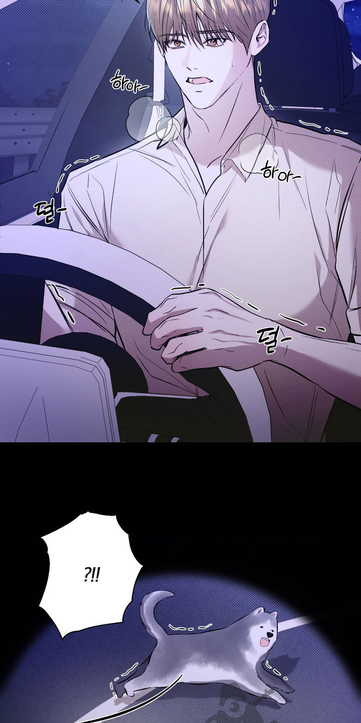 禁区内的谎言漫画,第38章：结束了4图