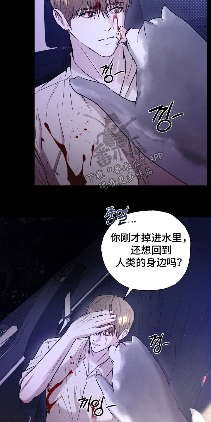 禁区内的谎言漫画,第38章：结束了5图