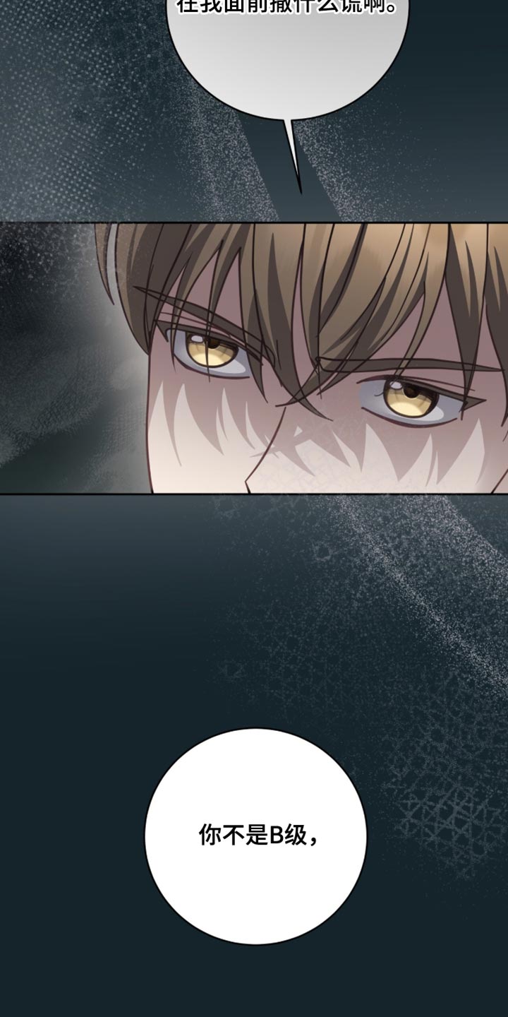 香稻米漫画,第36章：只是D级3图