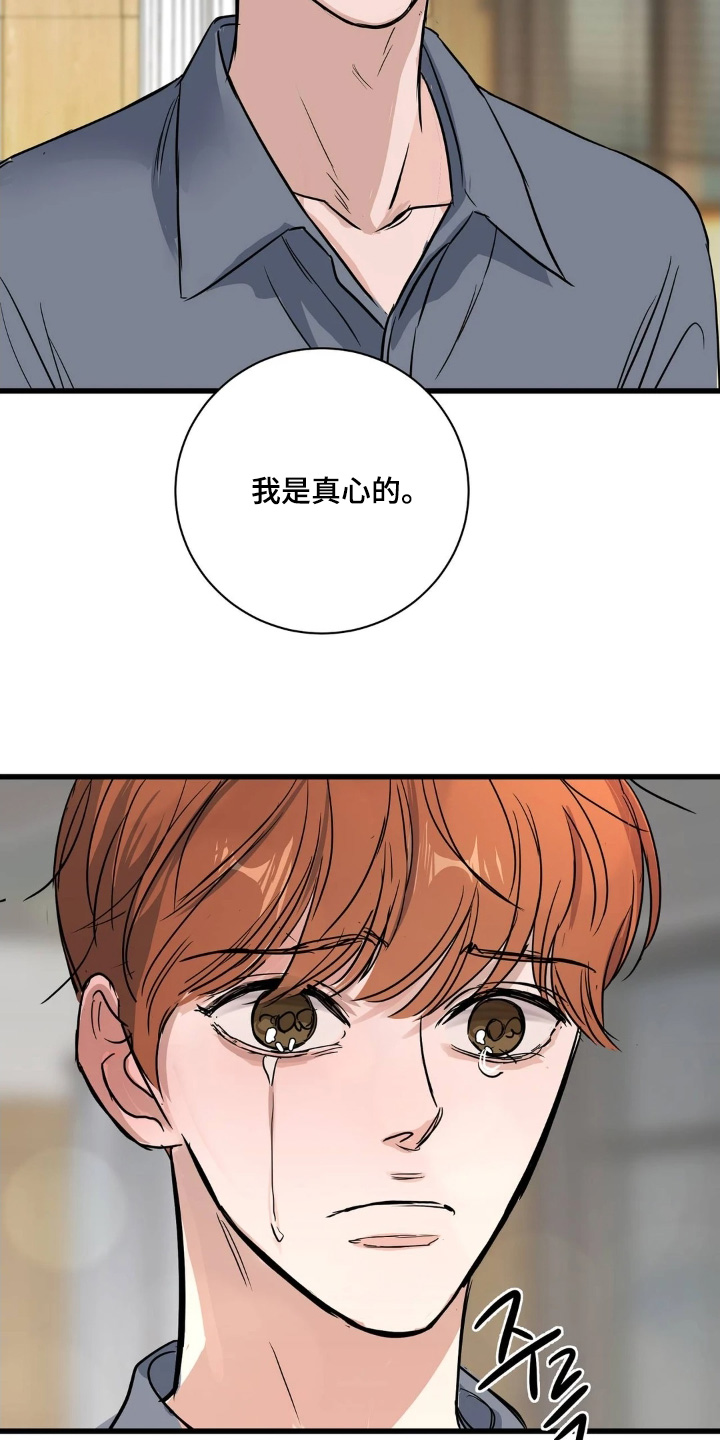 月亮和祖母绿漫画亮点漫画,第45章：我是真心的2图