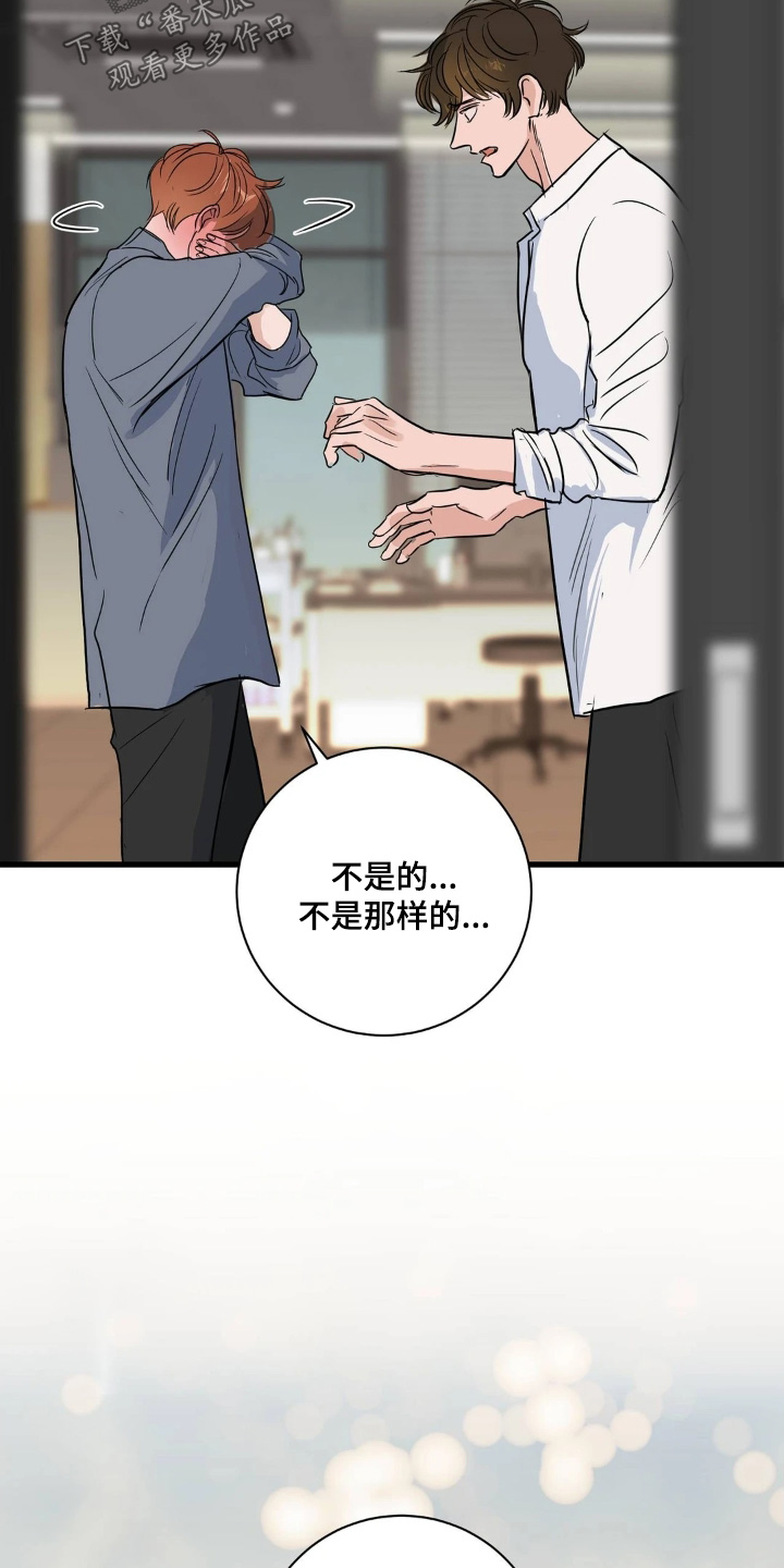 月亮和祖母绿漫画亮点漫画,第45章：我是真心的4图