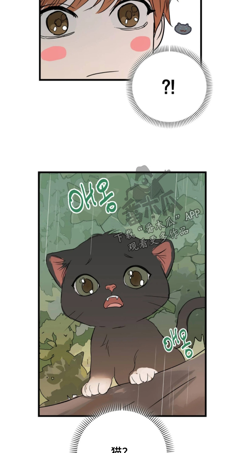 祖母绿能合成吗漫画,第43章：因为是班长4图