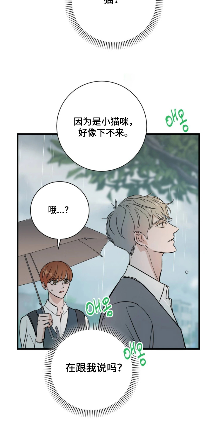 祖母绿能合成吗漫画,第43章：因为是班长5图